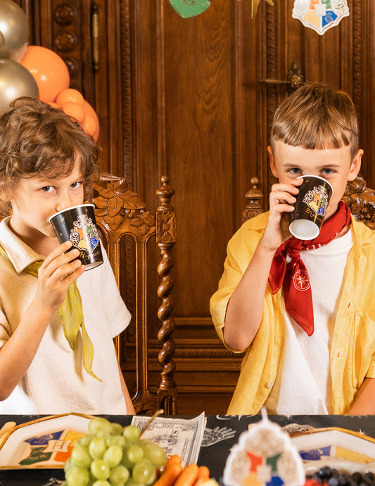 6 Harry Potter™ Partybecher aus Papier Hogwarts-Wappen 250 ml