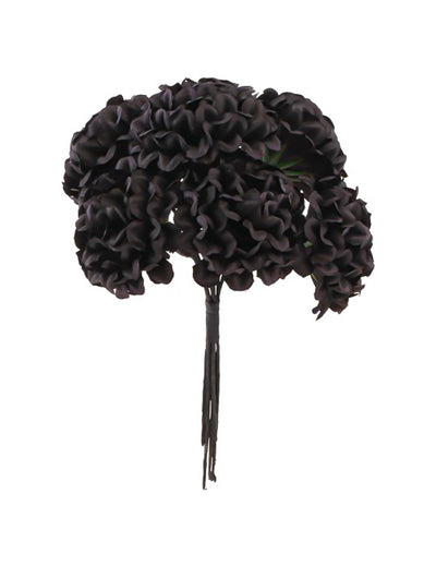 6er Set Mini-Hortensien schwarz 14 cm