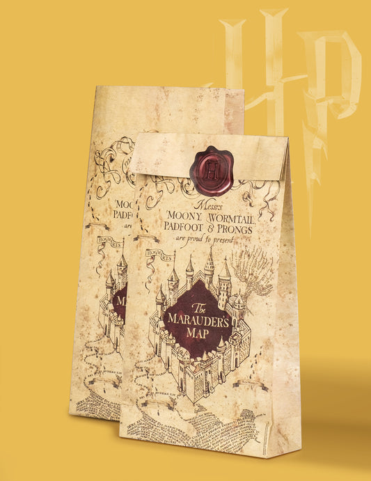 Vue de profil et de face des sacs cadeaux Harry Potter