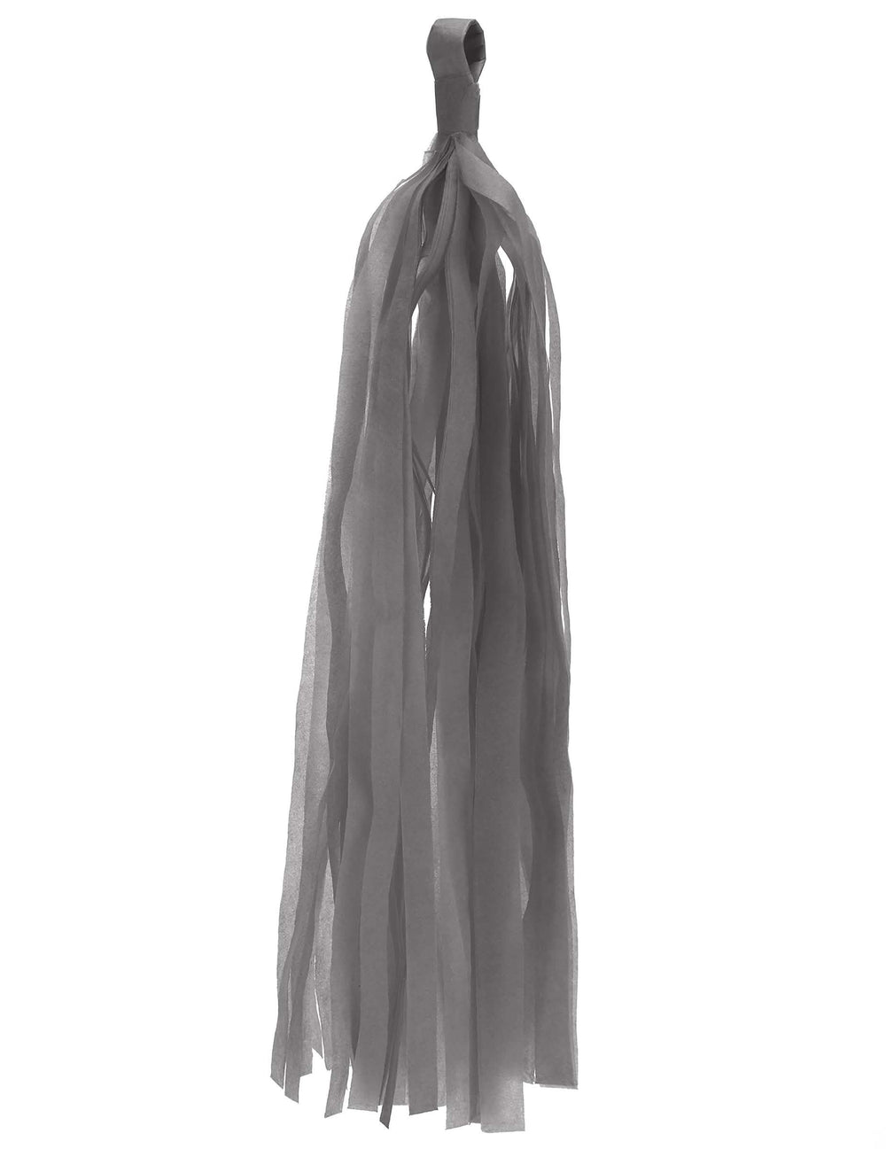 Guirlande du pompon tassel pour décoration de fête
