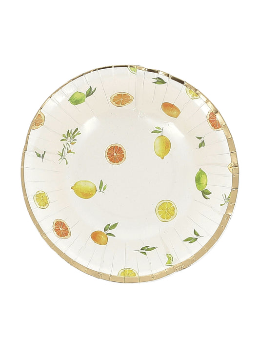 8 Fizz Zitrus-Pappschalen, Creme, Orange, Gelb und Gold, 13,5cm, Fruchtdekor