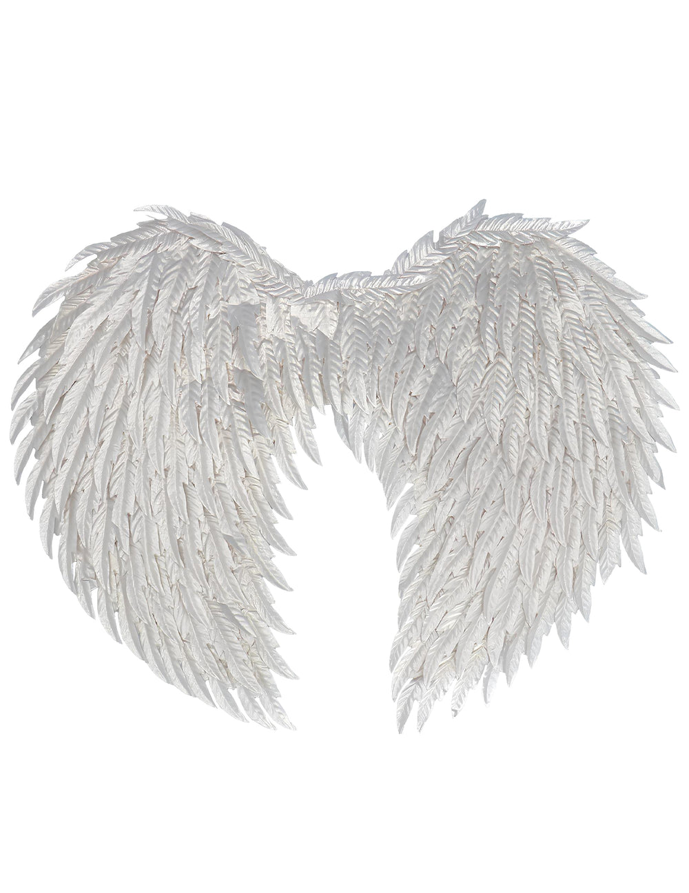Vue de dos des ailes d'ange glamour