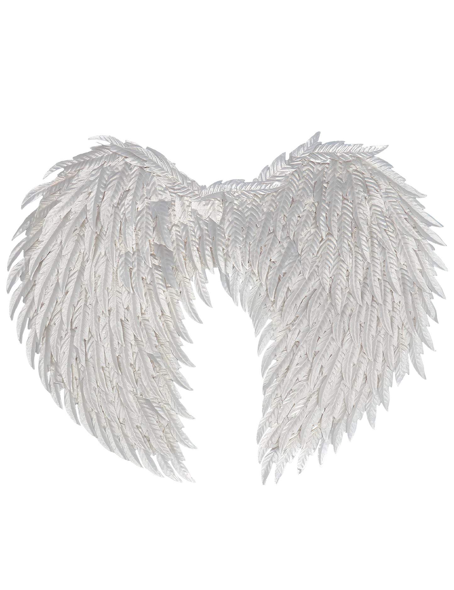 Vue de dos des ailes d'ange glamour