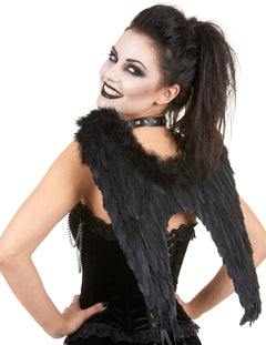 Halloween schwarze Flügel
