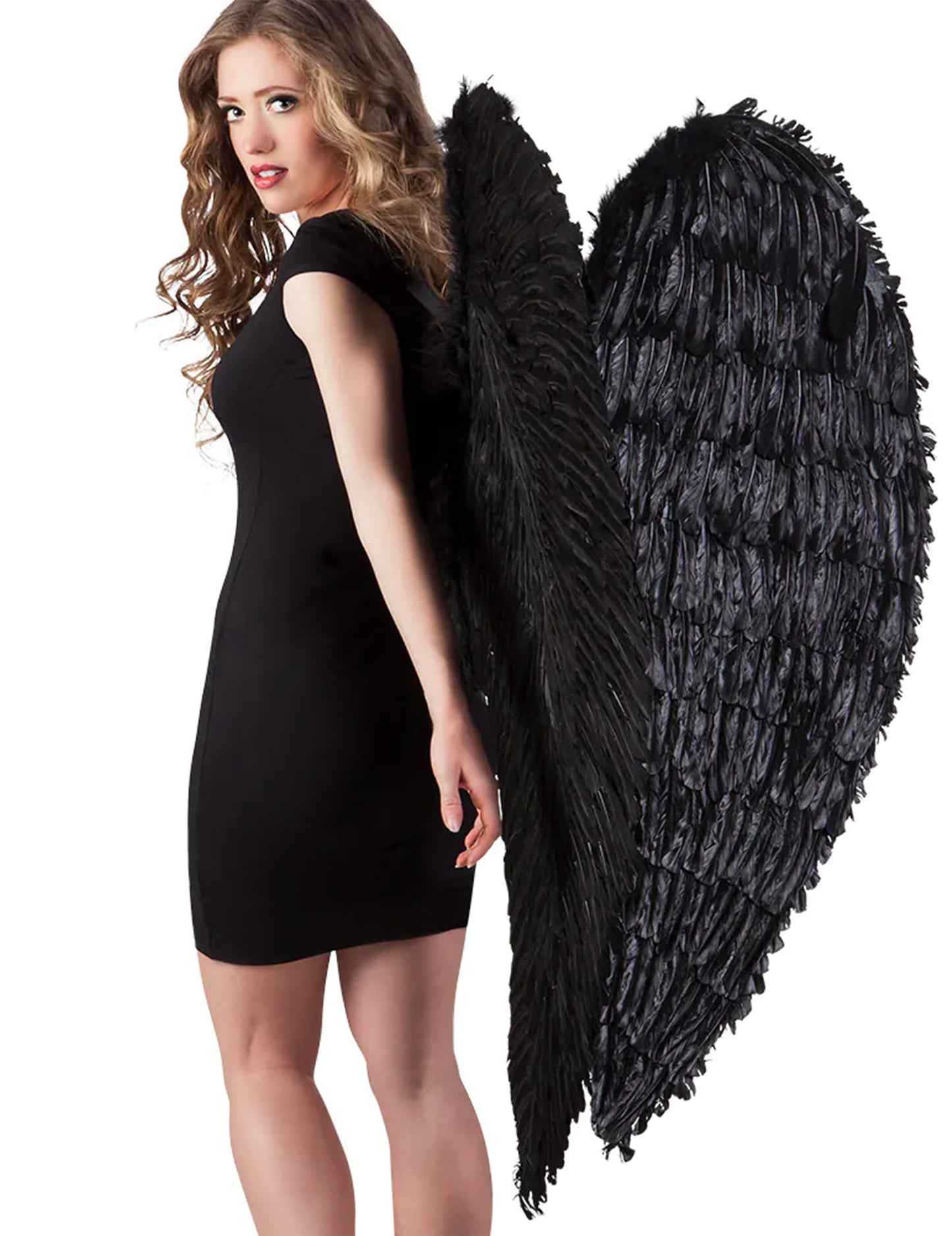 Ailes géantes à plumes pour adulte noires
