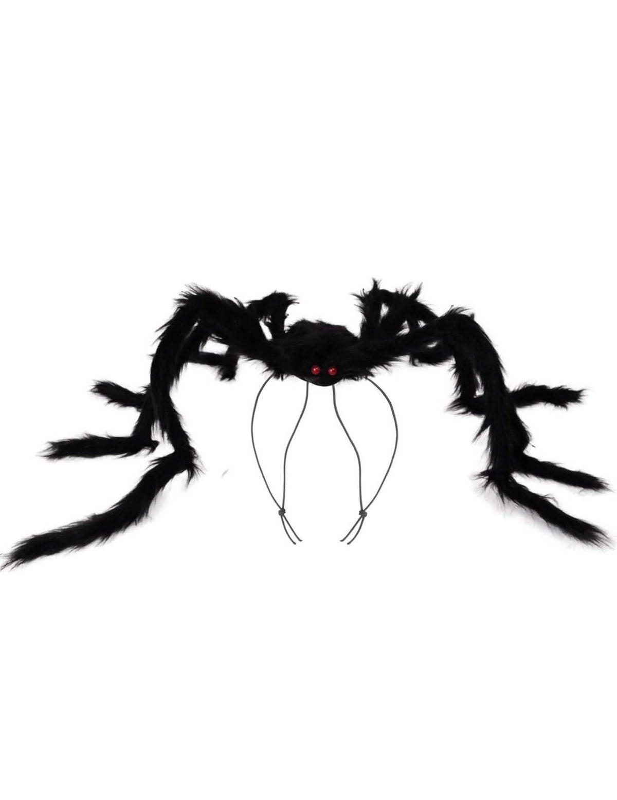 Vue de face de l'araignée géante à porter sur le dos