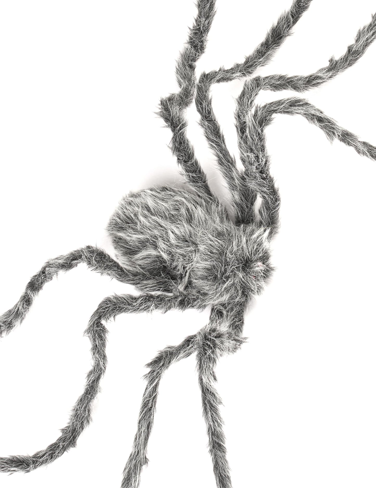 Vue de dessus de l'araignée géante Halloween