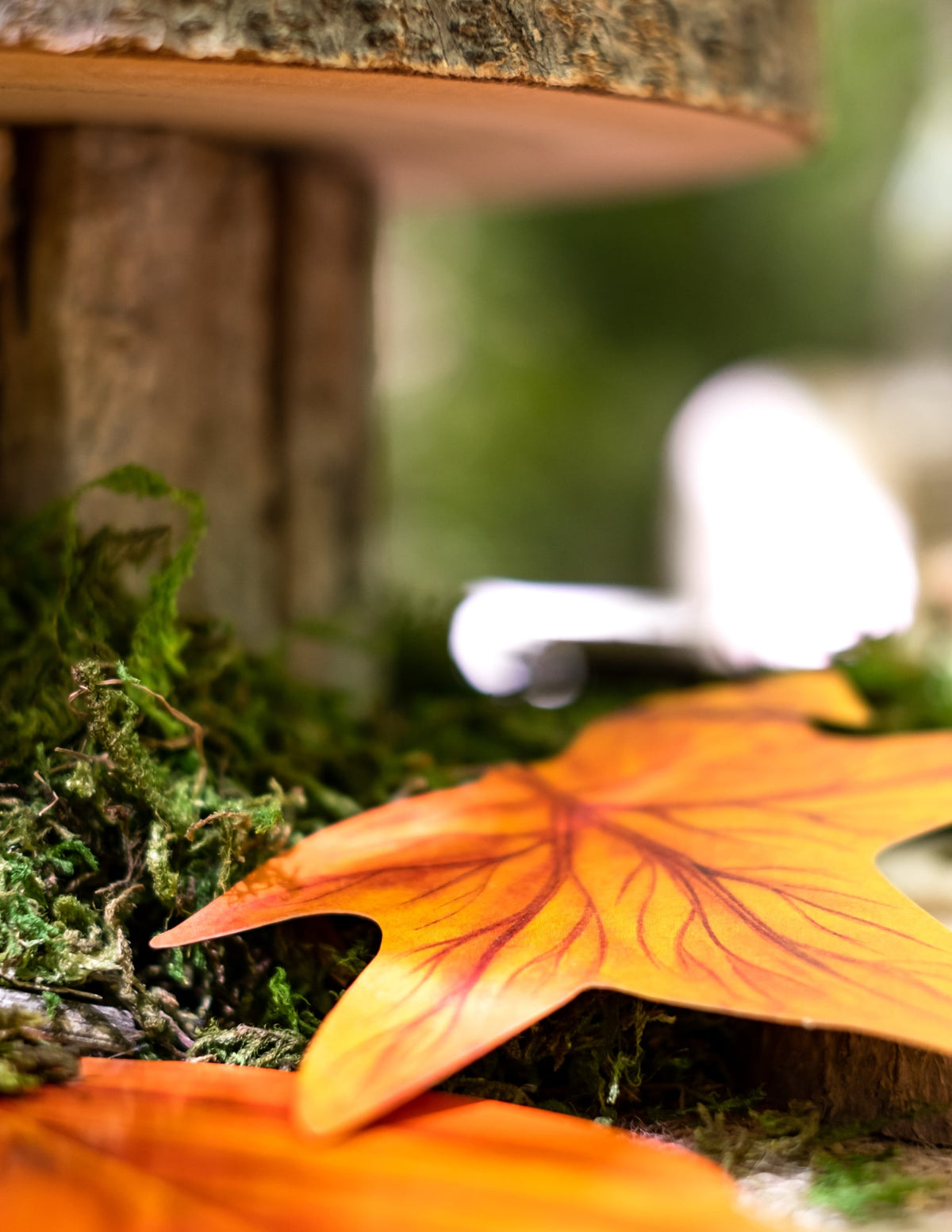 Gros plan sur une feuille orange de l'assortiment de 11 feuilles d'automne décoration en carton