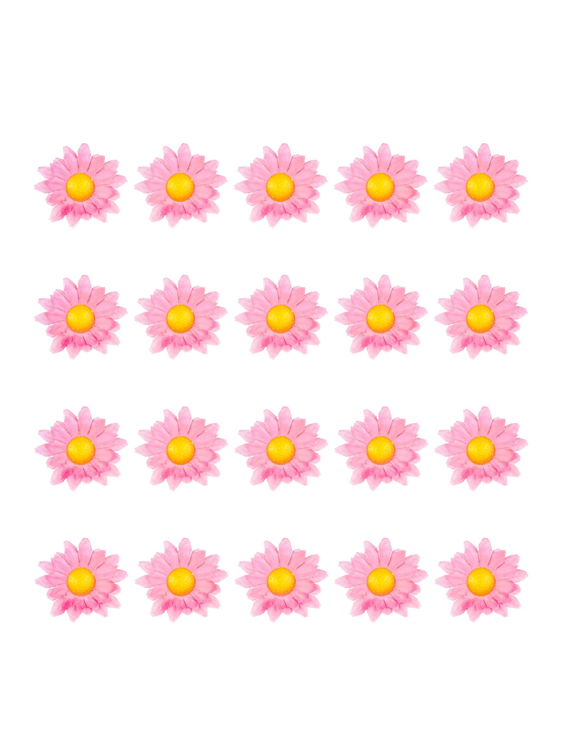 Vue d'ensemble des pièces de la boîte de 20 fleurs marguerite rose clair