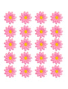 Box mit 20 hellrosa Margeritenblüten