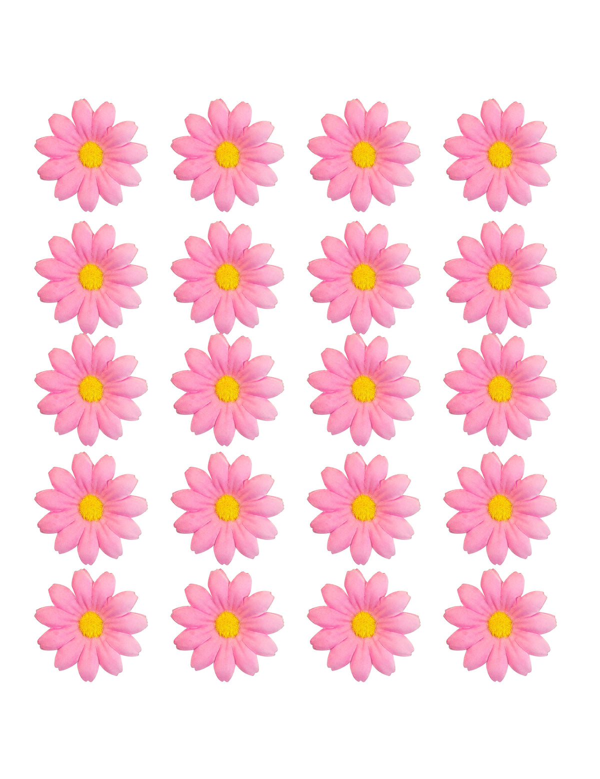 Box mit 20 hellrosa Margeritenblüten
