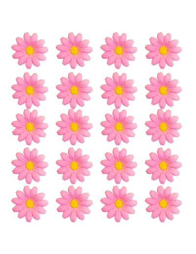Box mit 20 hellrosa Margeritenblüten
