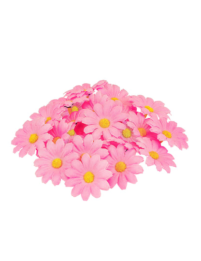 Box mit 20 hellrosa Margeritenblüten