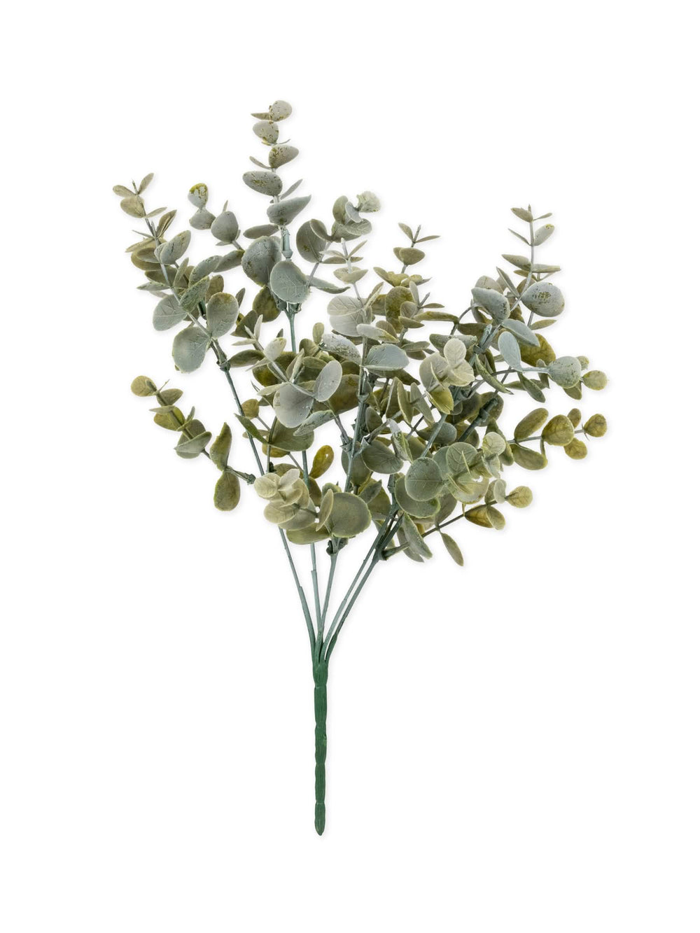 Bouquet de feuilles d'eucalyptus végétal pour décoration vert