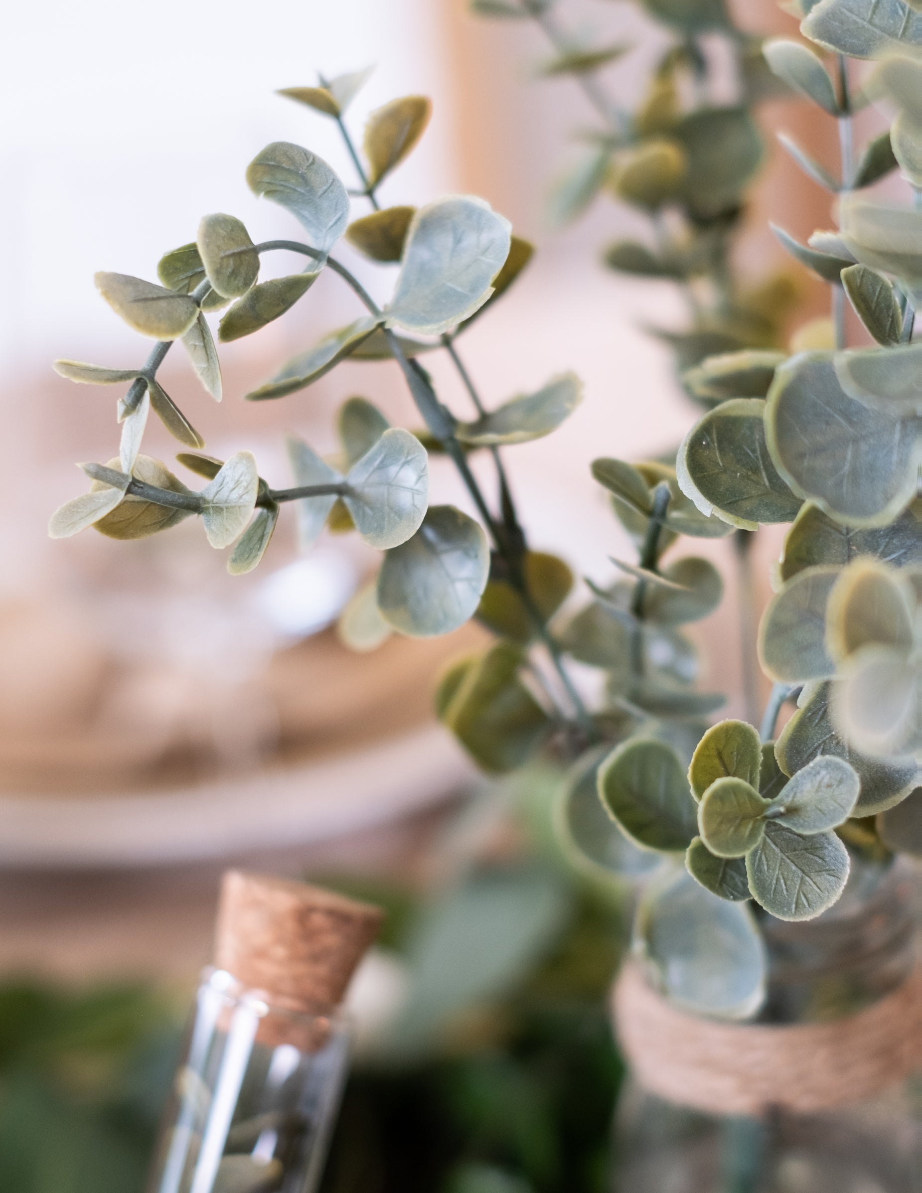 Gros plan sur les feuilles du bouquet de feuilles d'eucalyptus végétal pour décoration
