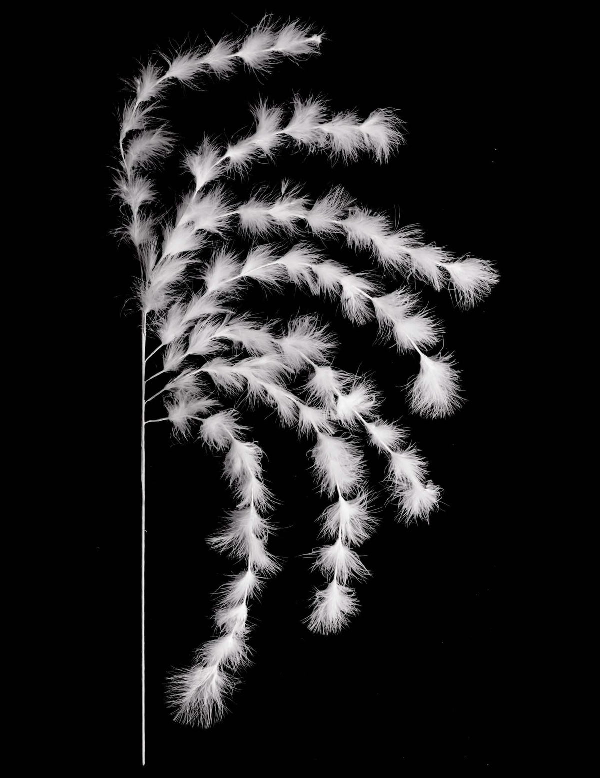 Branchage 7 brins plumes ambiance bohème pour décoration blanches