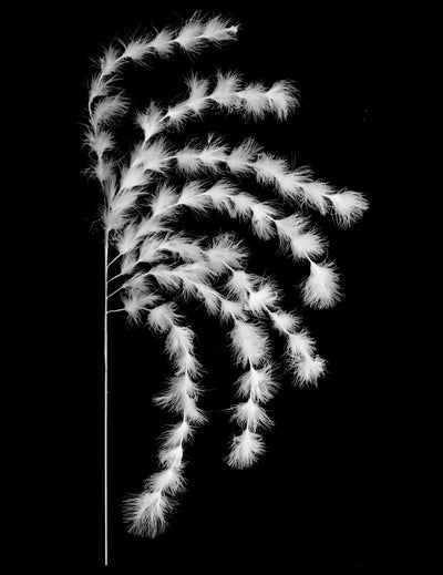 Branchage 7 brins plumes ambiance bohème pour décoration blanches
