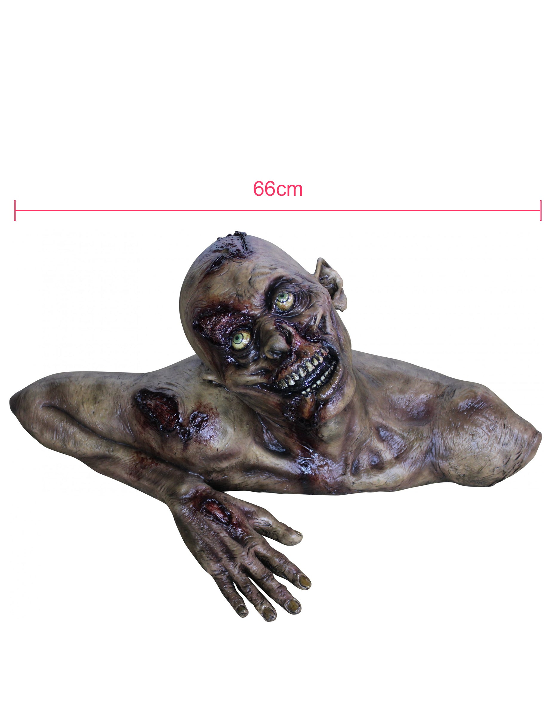 Dimensions du buste zombie décoratif pour Halloween
