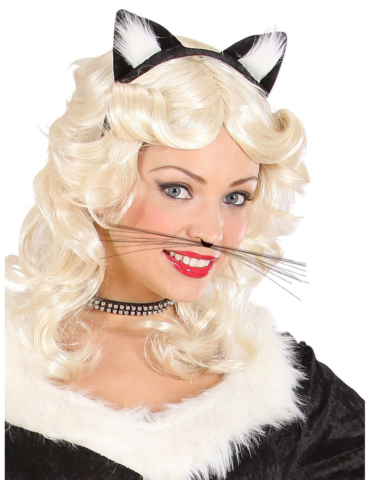 Vorderansicht des Katzenbarts