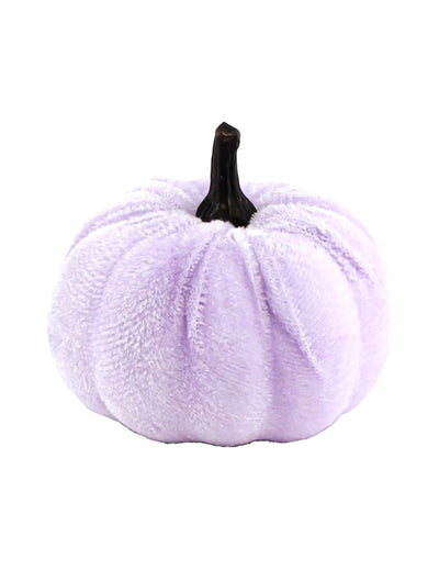 Kleiner SamtkÃ¼rbis lila 7 cm