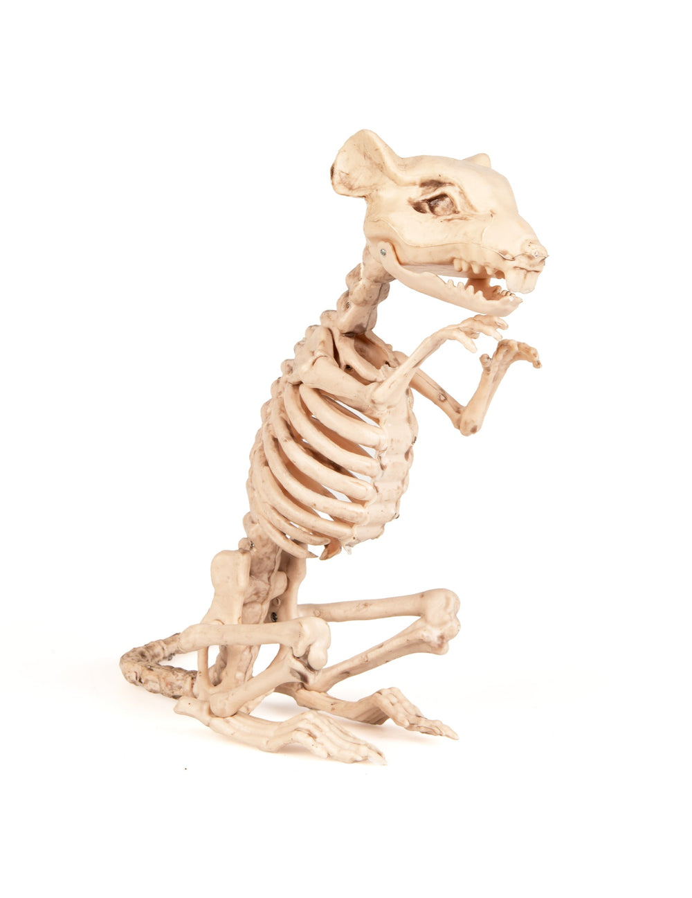 Décoration rat squelette pour Halloween beige aspect os