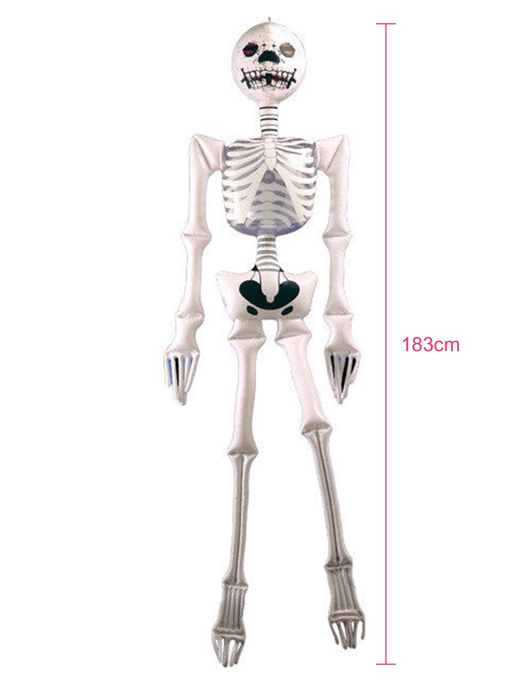 Vue d'ensemble avec dimensions de la décoration gonflable squelette pour Halloween
