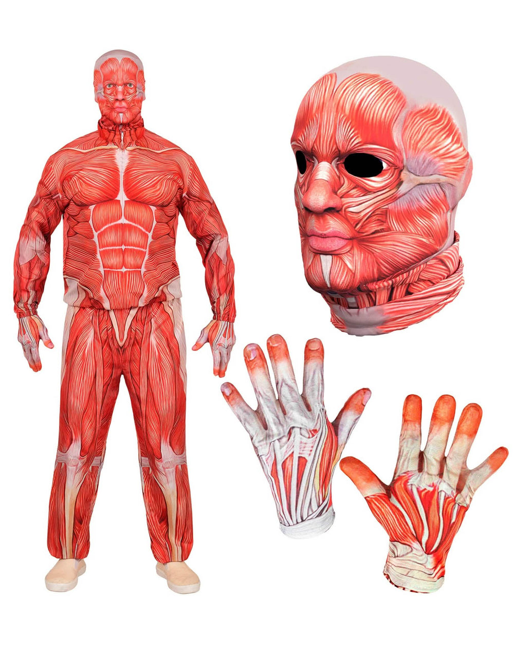 Détails du masque et des gants du déguisement intégral corps humain anatomique