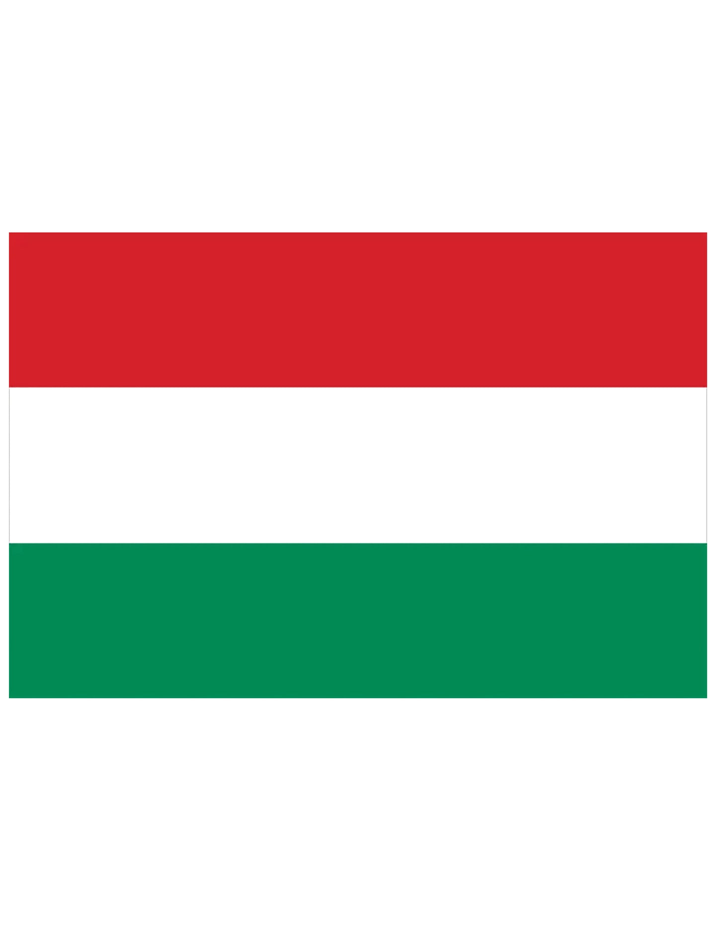 Große Flagge Ungarn (150x90 cm)