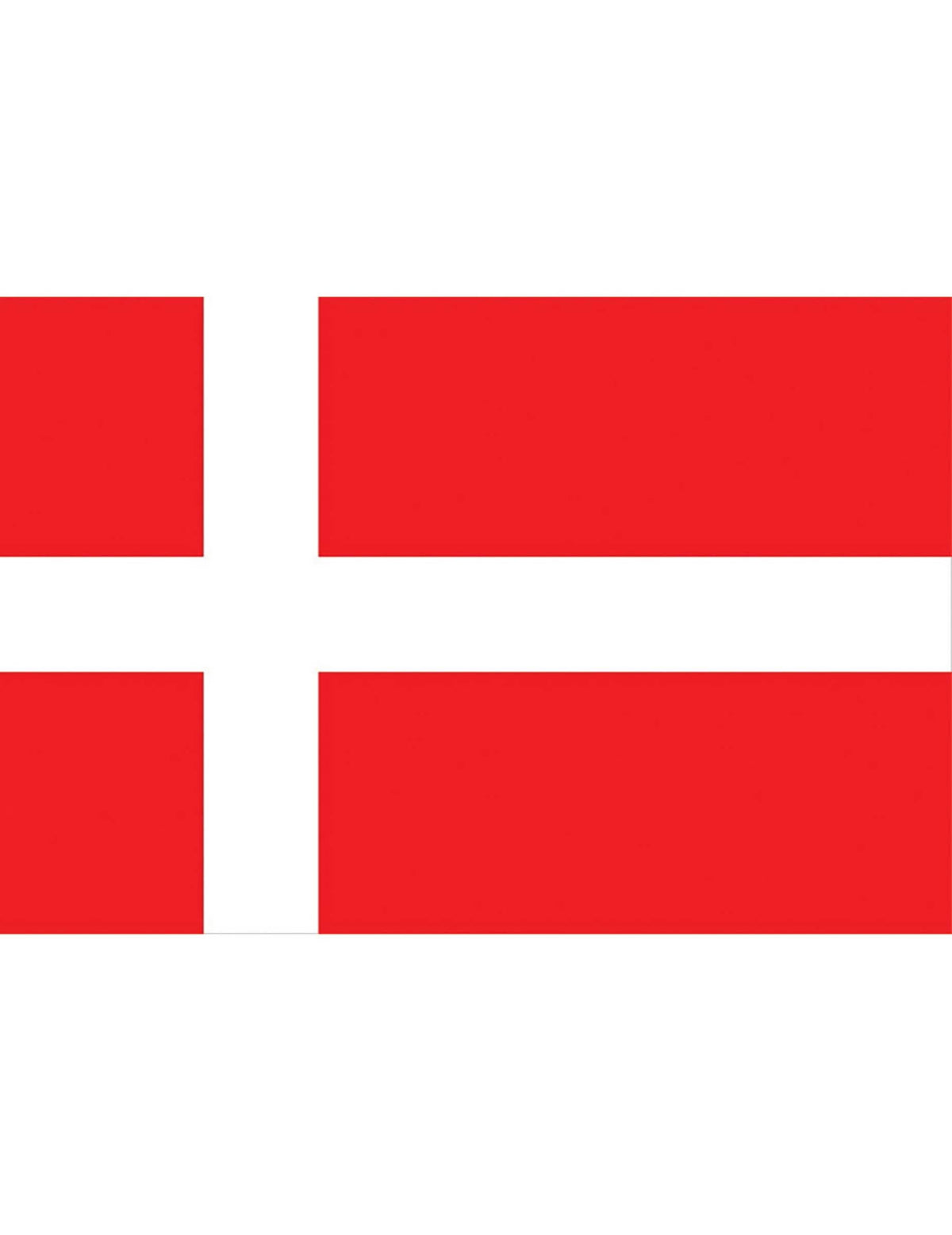 Dänische Flagge Fanartikel rot-weiss 90x150cm