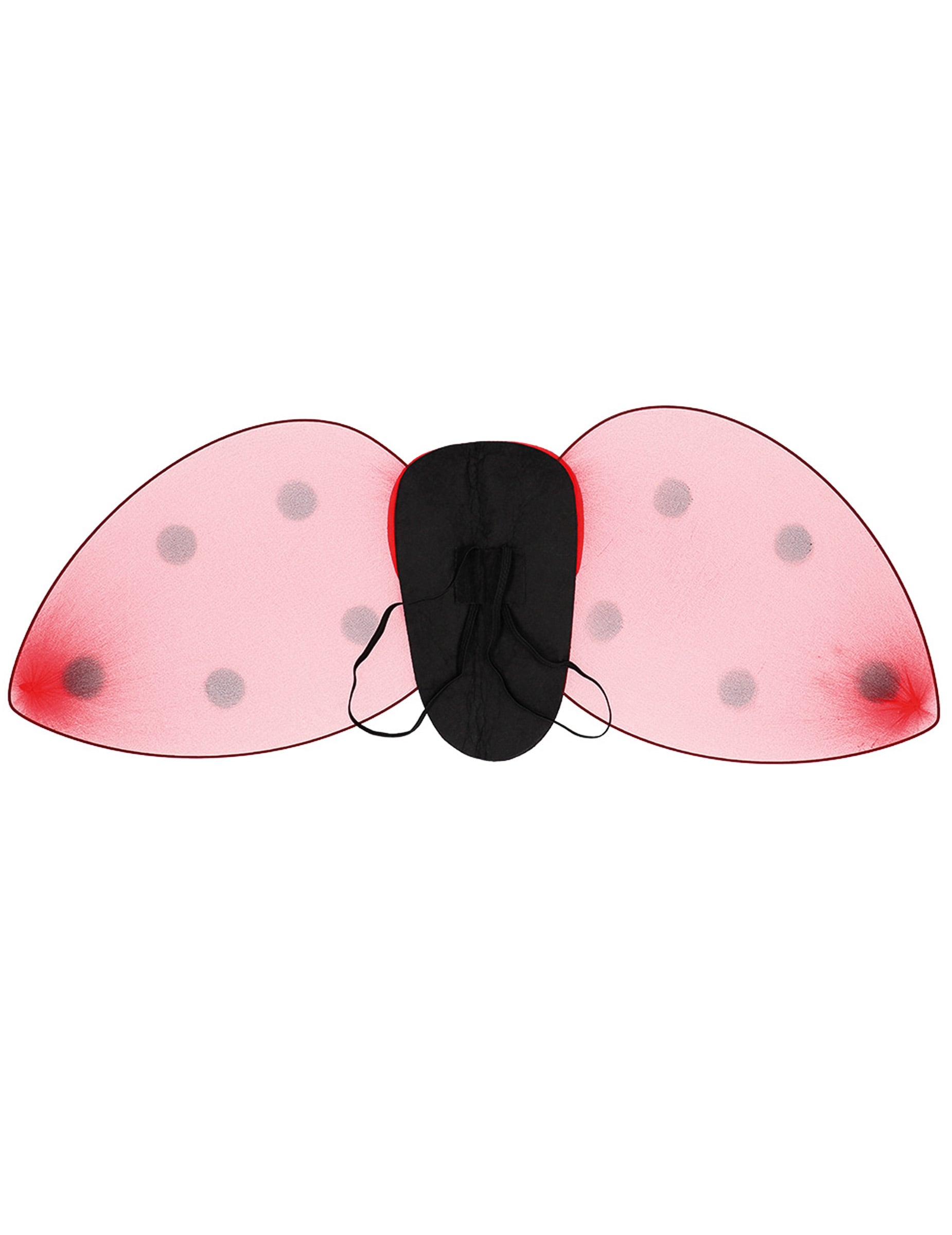 Vue de dos des ailes du kit ailes et serre-tête coccinelle