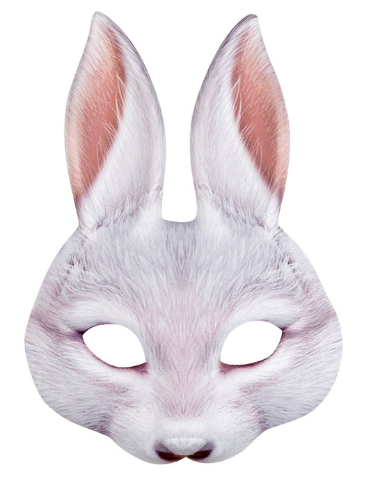 Vue de face du loup lapin