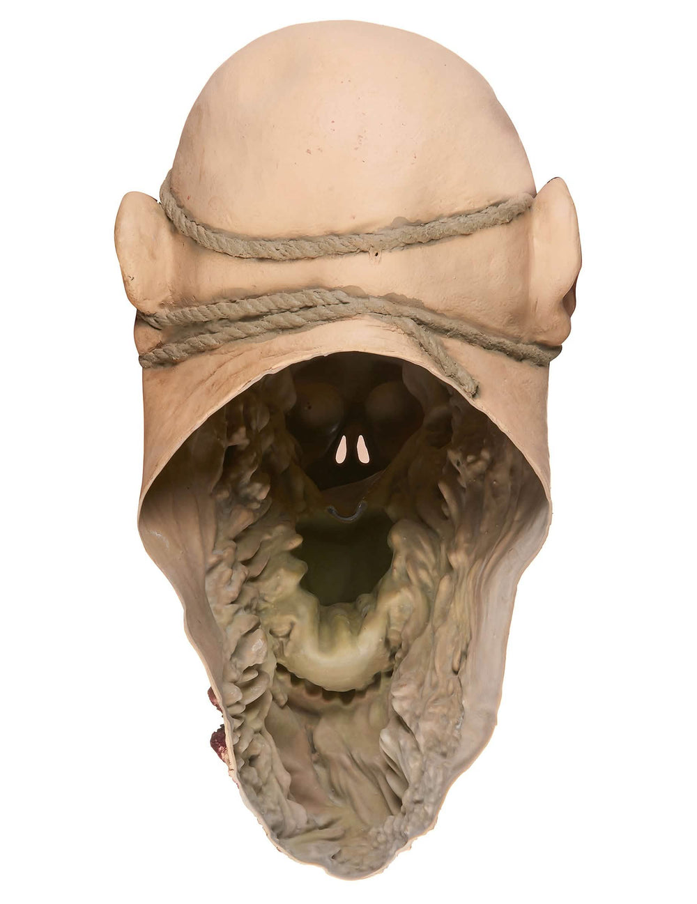 Rückansicht der Latex-Zombie-Verschlinger-Maske für Erwachsene
