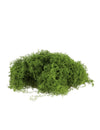 Mousse verte extensible pour décoration de fête
