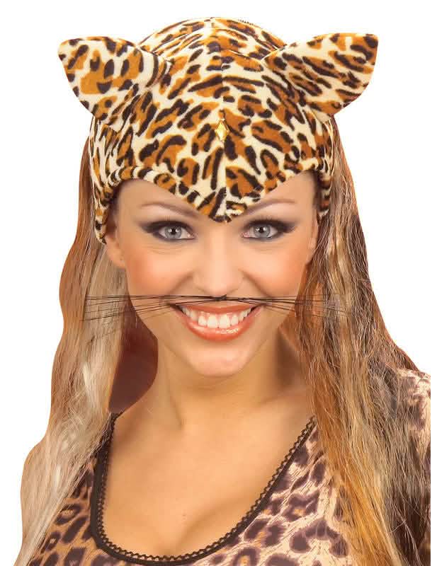 Frontalansicht des Katzenschnurrbarts