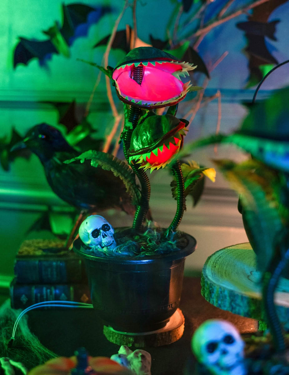 Gros plan sur le pot avec crâne de la plante carnivore animée décoration d'Halloween