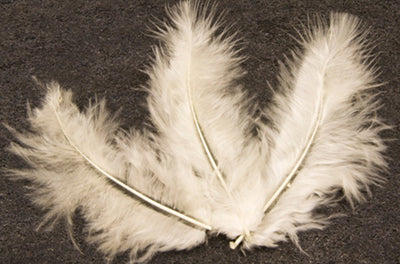 Plumes de décoration pour mariage ivoire
