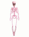 Bewegliches Gelenk-Skelett Summerween in Pink - 1m
