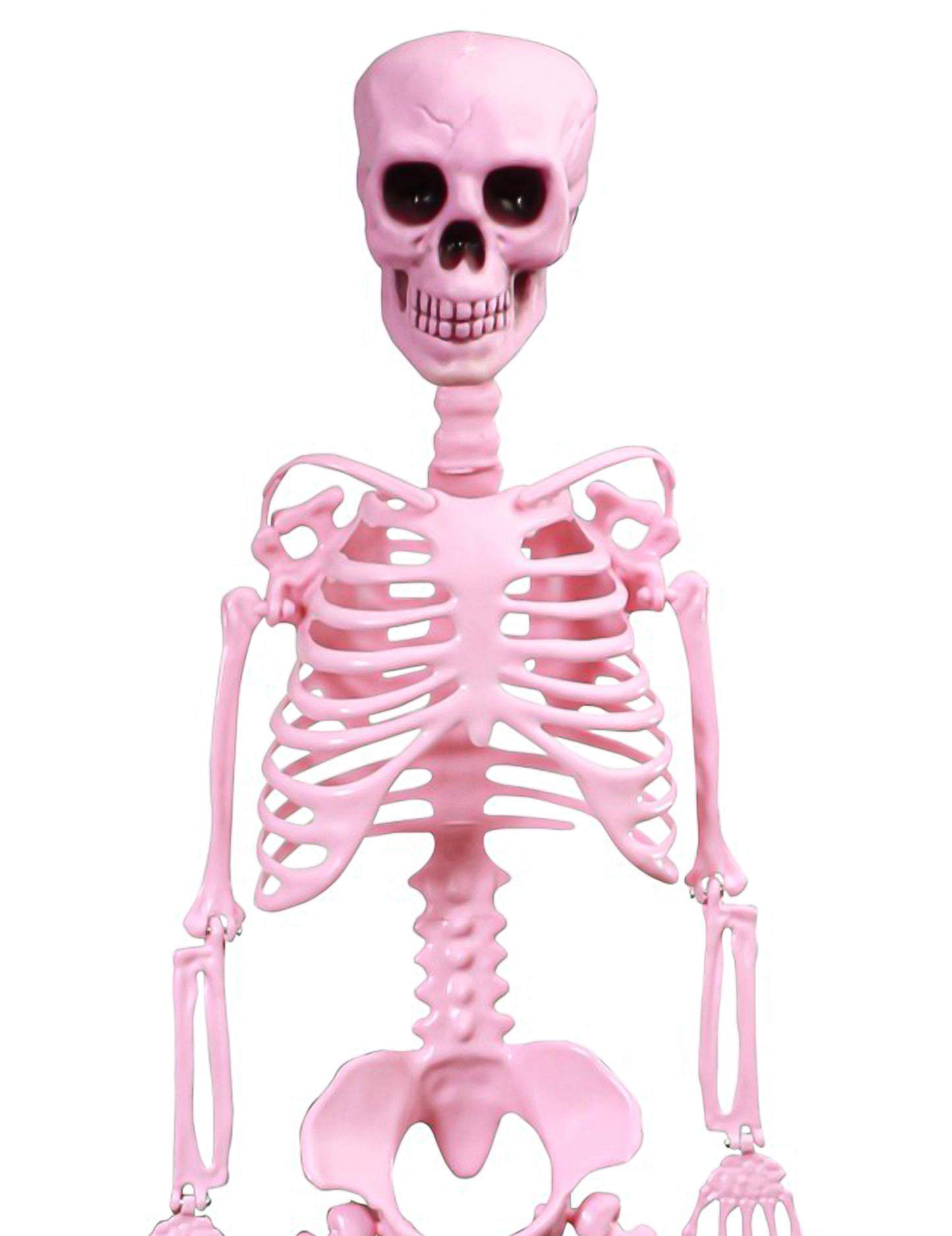 Bewegliches Gelenk-Skelett Summerween in Pink - 1m