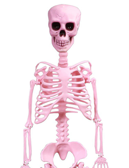 Bewegliches Gelenk-Skelett Summerween in Pink - 1m