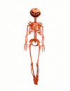 Summerween-Skelett mit KÃ¼rbis-Kopf Orange 1 m lang