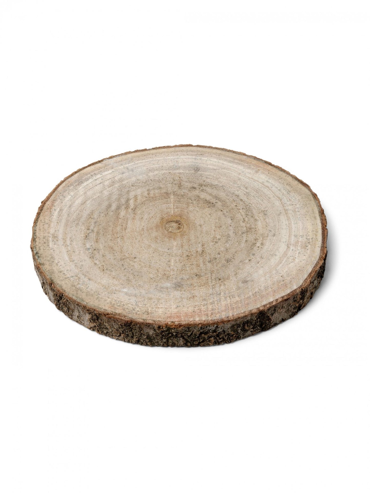 12 natürliche Holzscheiben 13 bis 17 cm
