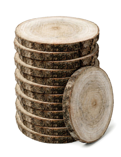 12 natürliche Holzscheiben 13 bis 17 cm