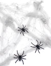Halloween Spinnennetz weiß inklusive Spinnen 20 g