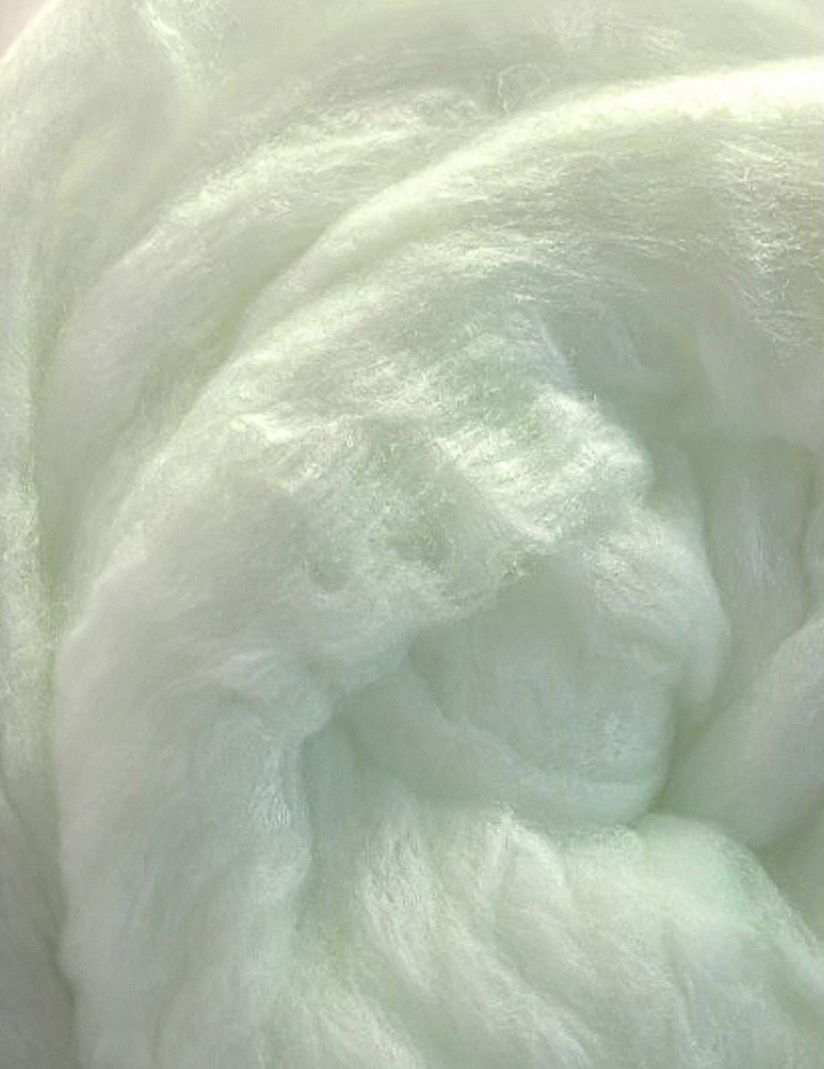 Toile d'araignée phosphorescente blanche luxe 240 g